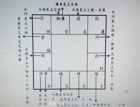 田宅紫微貪狼|贪狼星坐守田宅宫的分析 – 紫微麥 